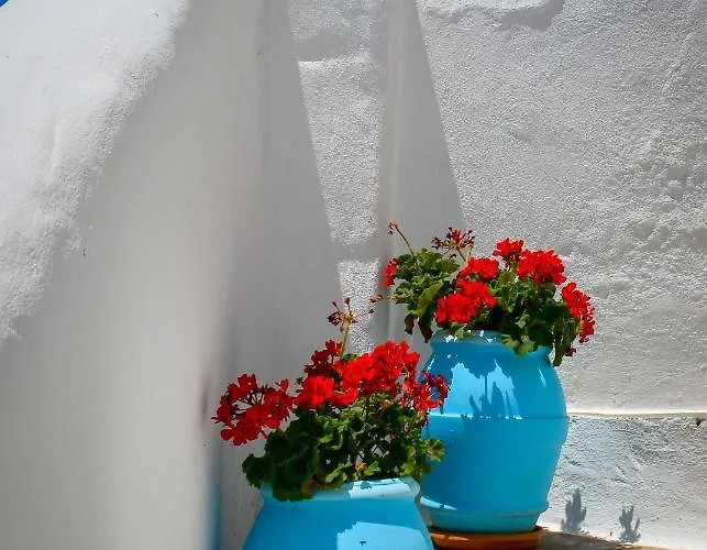 Διαμέρισμα Spiti Georgia In Village Δρυός