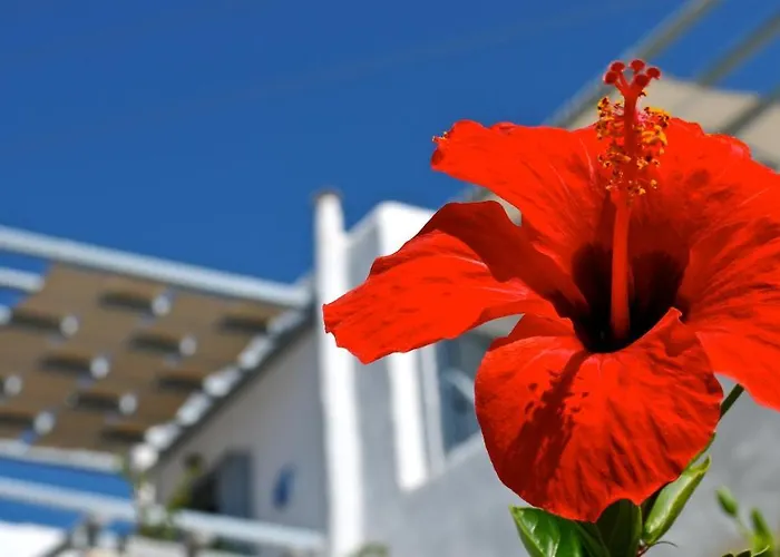 Spiti Georgia In Village Δρυός