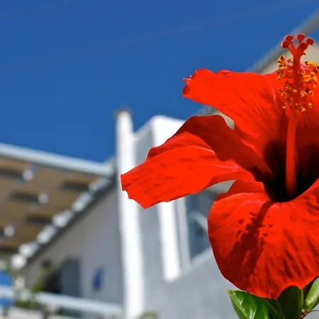 Spiti Georgia In Drios Village Parikia (Paros)